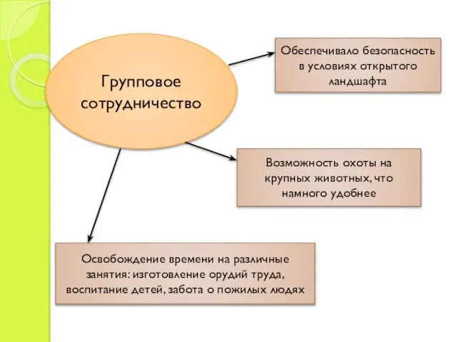 Групповое сотрудничество Обеспечивало безопасность в условиях открытого ландшафта Возможность охоты на