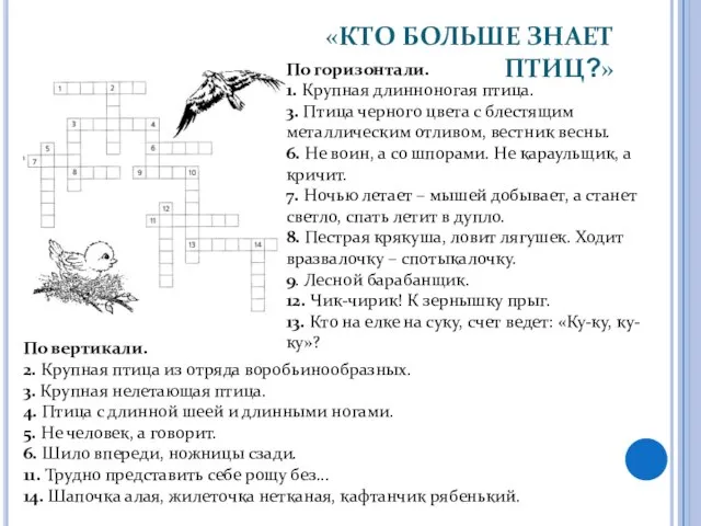 «КТО БОЛЬШЕ ЗНАЕТ ПТИЦ?» По горизонтали. 1. Крупная длинноногая птица. 3.