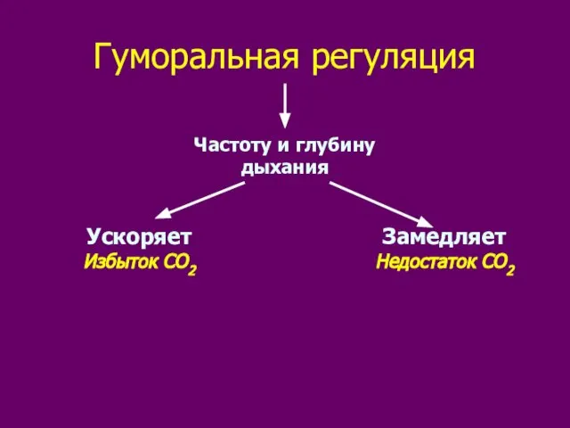 Гуморальная регуляция Частоту и глубину дыхания Ускоряет Избыток СО2 Замедляет Недостаток СО2