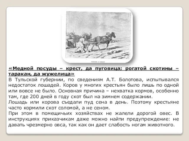 «Медной посуды – крест, да пуговица; рогатой скотины – таракан, да