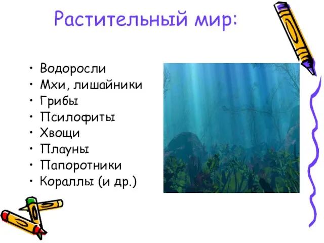 Растительный мир: Водоросли Мхи, лишайники Грибы Псилофиты Хвощи Плауны Папоротники Кораллы (и др.)