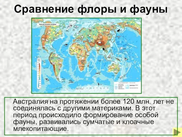 Сравнение флоры и фауны Австралия на протяжении более 120 млн. лет