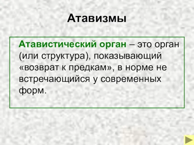 Атавизмы Атавистический орган – это орган (или структура), показывающий «возврат к