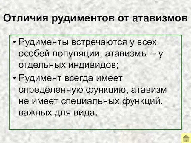 Отличия рудиментов от атавизмов Рудименты встречаются у всех особей популяции, атавизмы