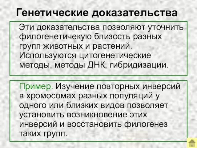 Генетические доказательства Эти доказательства позволяют уточнить филогенетичекую близость разных групп животных