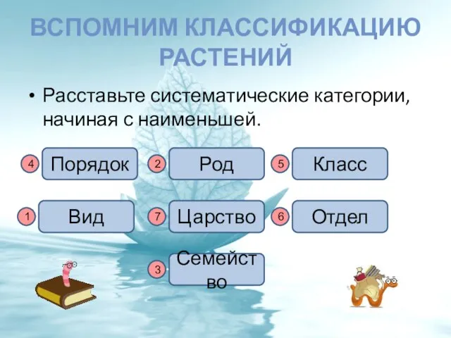 Вспомним классификацию растений Расставьте систематические категории, начиная с наименьшей. Вид Класс