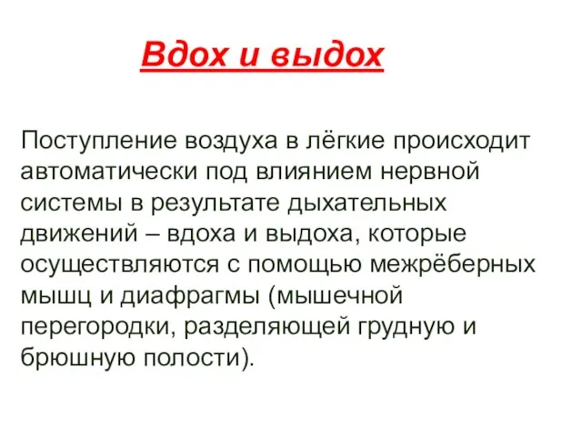 Вдох и выдох Поступление воздуха в лёгкие происходит автоматически под влиянием