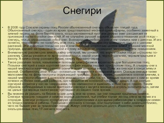 Снегири В 2008 году Союзом охраны птиц России обыкновенный снегирь объявлен