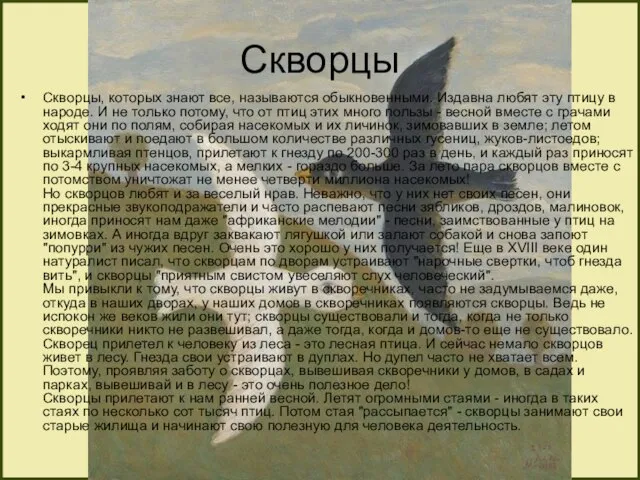 Скворцы Скворцы, которых знают все, называются обыкновенными. Издавна любят эту птицу