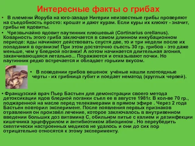 В племени Йоруба на юго-западе Нигерии неизвестные грибы проверяют на съедобность