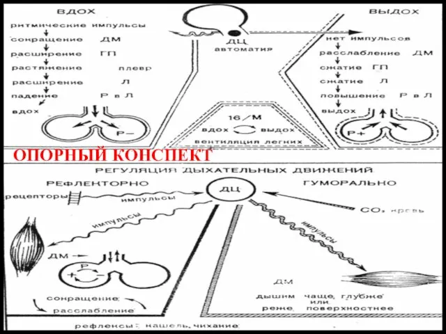 ОПОРНЫЙ КОНСПЕКТ