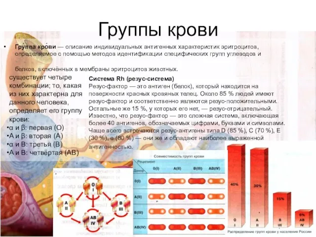 Группы крови Гру́ппа кро́ви — описание индивидуальных антигенных характеристик эритроцитов, определяемое