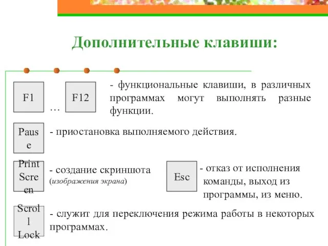 Дополнительные клавиши: - функциональные клавиши, в различных программах могут выполнять разные