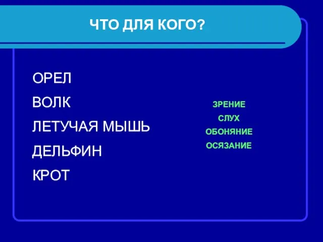 ЧТО ДЛЯ КОГО? ОРЕЛ ВОЛК ЛЕТУЧАЯ МЫШЬ ДЕЛЬФИН КРОТ ЗРЕНИЕ СЛУХ ОБОНЯНИЕ ОСЯЗАНИЕ