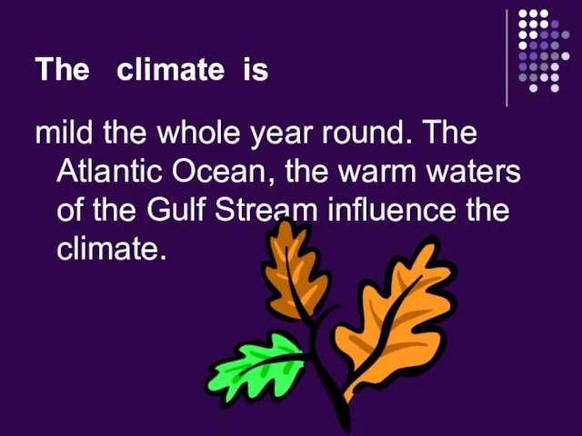 The climate is mild the whole year round. The Atlantic Ocean,