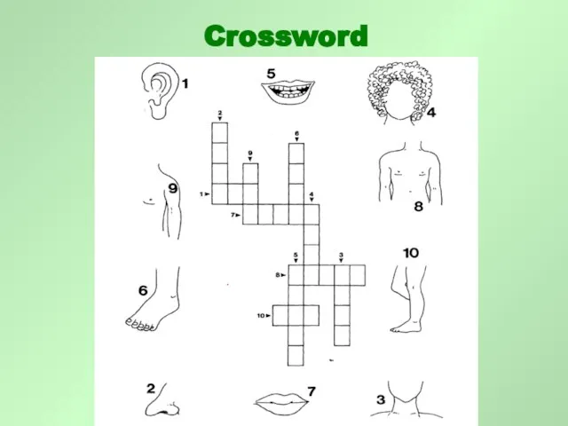 Crossword