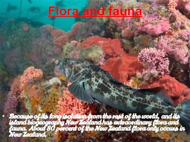 Flora and fauna Because of its long isolation from the rest