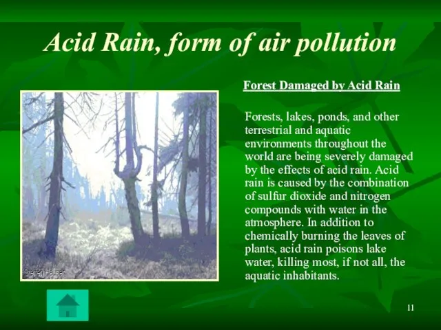 Acid Rain, form of air pollution Forest Damaged by Acid Rain