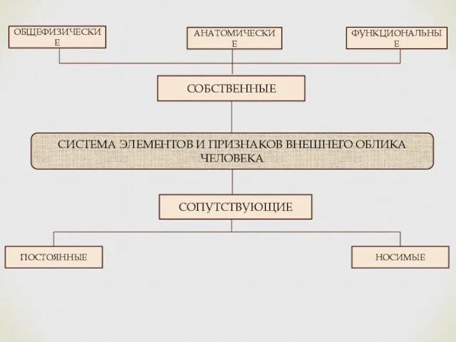 СИСТЕМА ЭЛЕМЕНТОВ И ПРИЗНАКОВ ВНЕШНЕГО ОБЛИКА ЧЕЛОВЕКА СОБСТВЕННЫЕ СОПУТСТВУЮЩИЕ ОБЩЕФИЗИЧЕСКИЕ АНАТОМИЧЕСКИЕ ФУНКЦИОНАЛЬНЫЕ ПОСТОЯННЫЕ НОСИМЫЕ