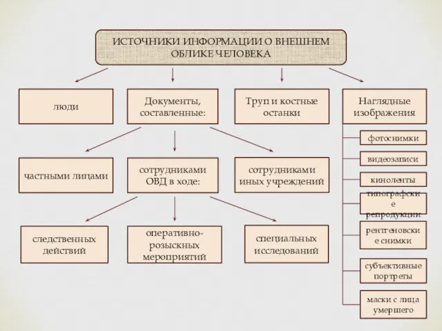 ИСТОЧНИКИ ИНФОРМАЦИИ О ВНЕШНЕМ ОБЛИКЕ ЧЕЛОВЕКА люди Документы, составленные: Труп и