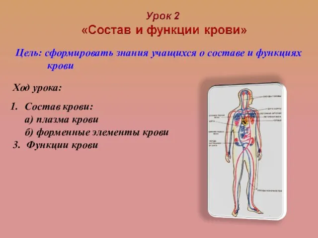 Цель: сформировать знания учащихся о составе и функциях крови Ход урока: