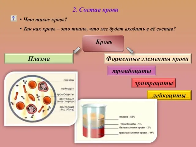 2. Состав крови Что такое кровь? Так как кровь – это