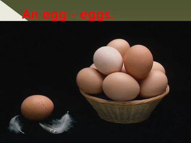 An egg - eggs.
