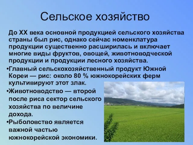 Сельское хозяйство До XX века основной продукцией сельского хозяйства страны был