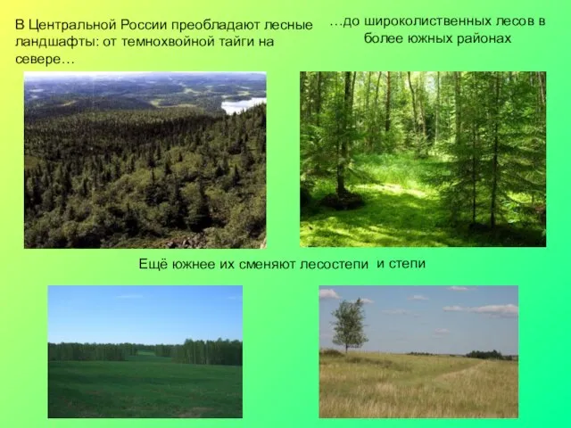 В Центральной России преобладают лесные ландшафты: от темнохвойной тайги на севере…