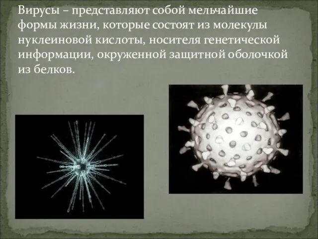 Вирусы – представляют собой мельчайшие формы жизни, которые состоят из молекулы