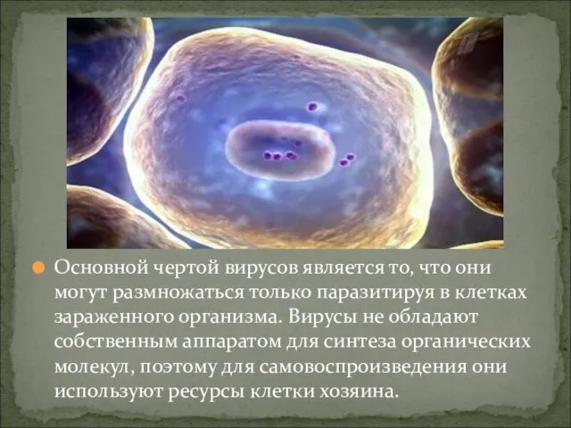 Основной чертой вирусов является то, что они могут размножаться только паразитируя