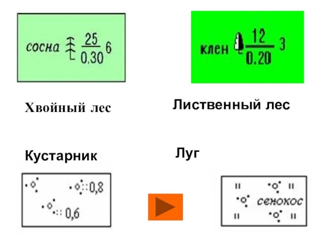 Хвойный лес Лиственный лес Кустарник Луг