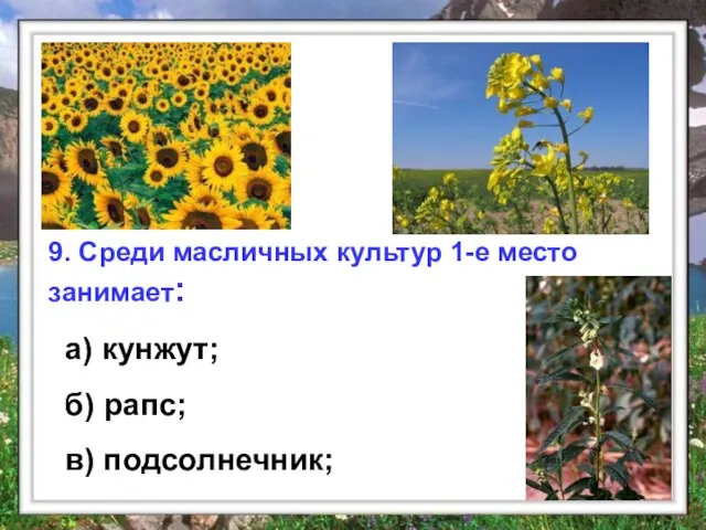 9. Среди масличных культур 1-е место занимает: а) кунжут; б) рапс; в) подсолнечник;