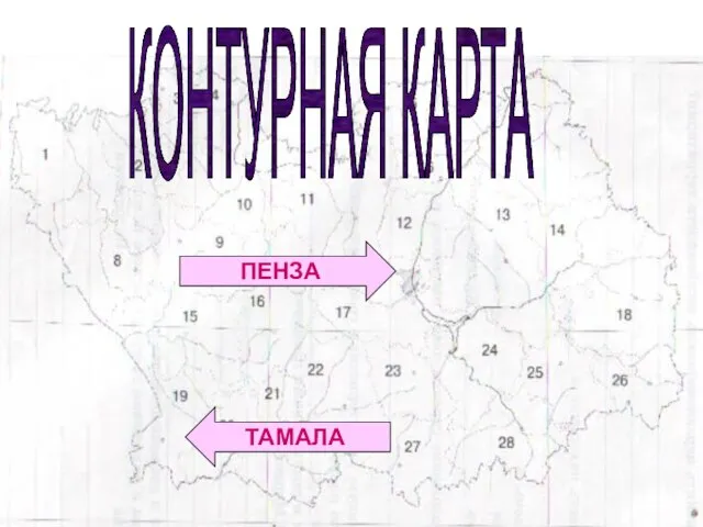 ПЕНЗА ТАМАЛА КОНТУРНАЯ КАРТА