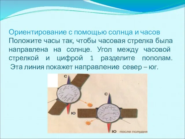 Ориентирование с помощью солнца и часов Положите часы так, чтобы часовая