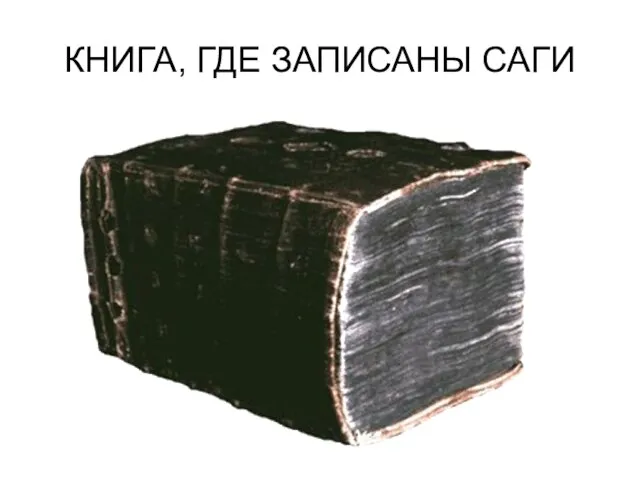 КНИГА, ГДЕ ЗАПИСАНЫ САГИ