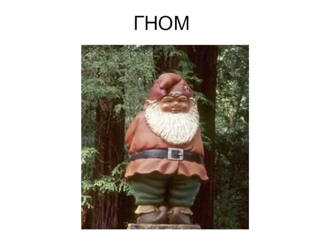 ГНОМ