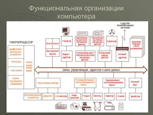 Функциональная организации компьютера