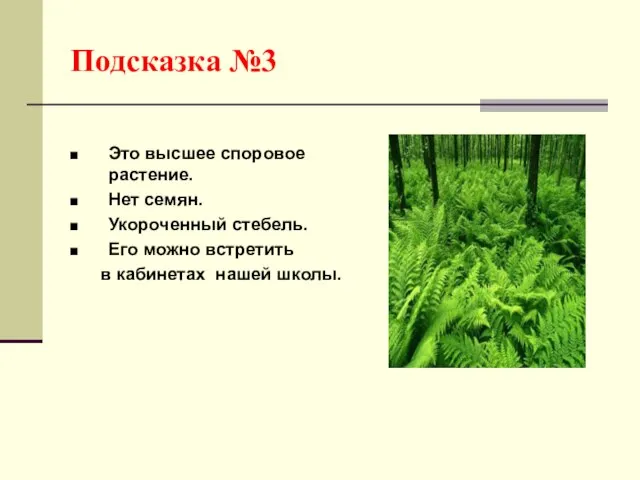 Подсказка №3 Это высшее споровое растение. Нет семян. Укороченный стебель. Его