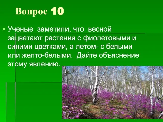 Вопрос 10 Ученые заметили, что весной зацветают растения с фиолетовыми и