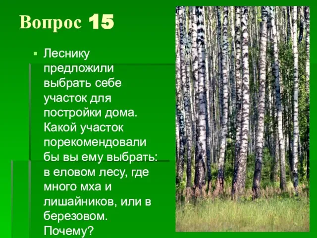 Вопрос 15 Леснику предложили выбрать себе участок для постройки дома. Какой