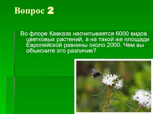 Вопрос 2 Во флоре Кавказа насчитывается 6000 видов цветковых растений, а