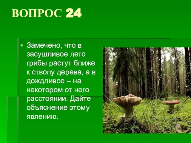 ВОПРОС 24 Замечено, что в засушливое лето грибы растут ближе к