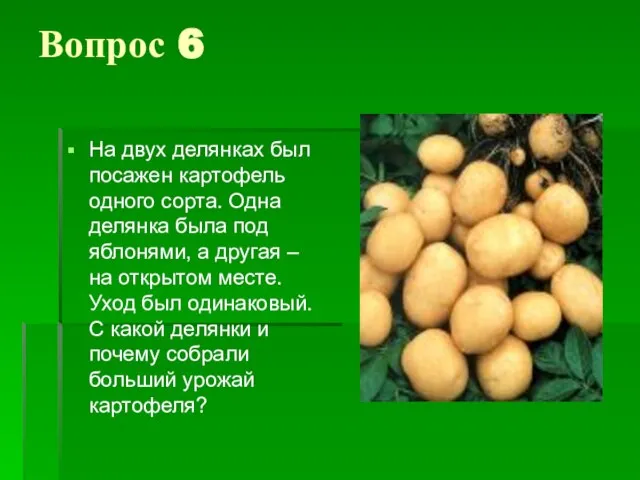 Вопрос 6 На двух делянках был посажен картофель одного сорта. Одна