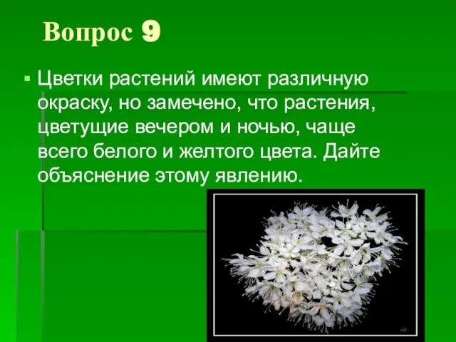 Вопрос 9 Цветки растений имеют различную окраску, но замечено, что растения,