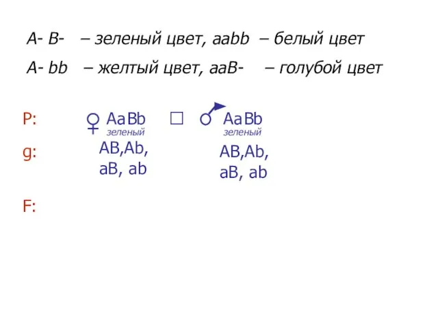 A В а b А В а b A- B- –