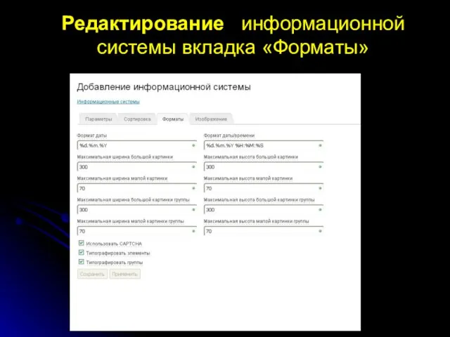 Редактирование информационной системы вкладка «Форматы»