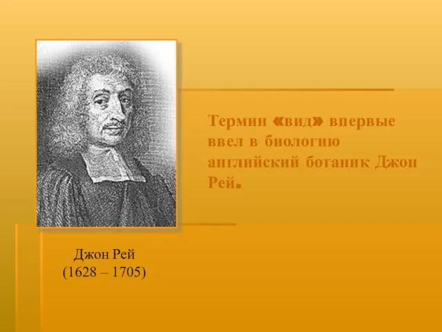 Термин «вид» впервые ввел в биологию английский ботаник Джон Рей. Джон Рей (1628 – 1705)