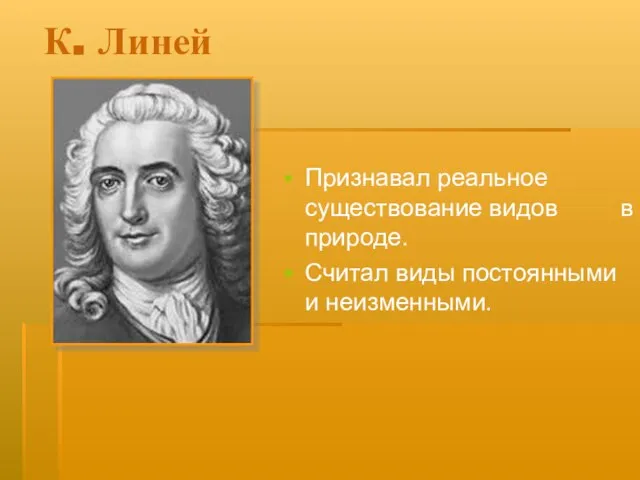 К. Линей Признавал реальное существование видов в природе. Считал виды постоянными и неизменными.