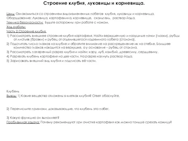 Лабораторная работа 2 группы Строение клубня, луковицы и корневища. Цель: Ознакомиться